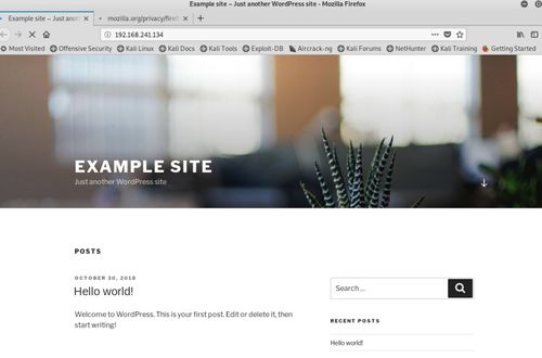 網絡滲透測試實驗4